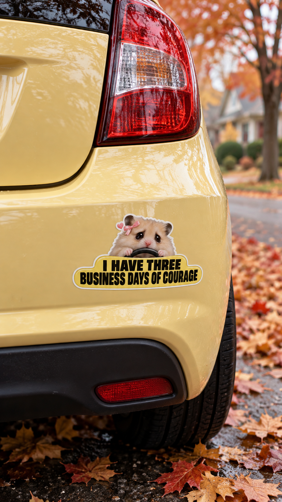 Digital placement mockup: Hammy: courage budget