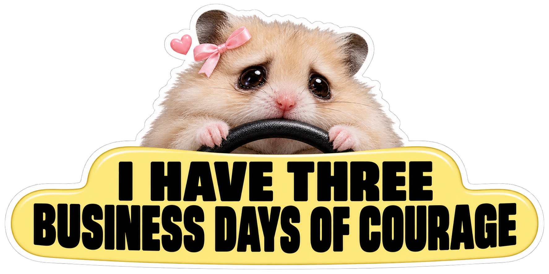 Hammy: courage budget