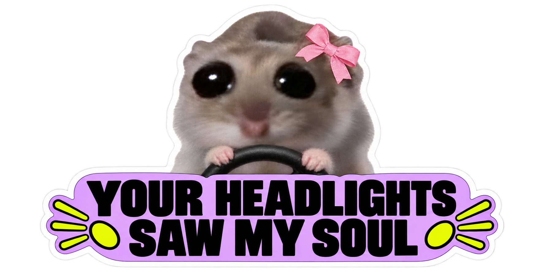Hammy sees the light