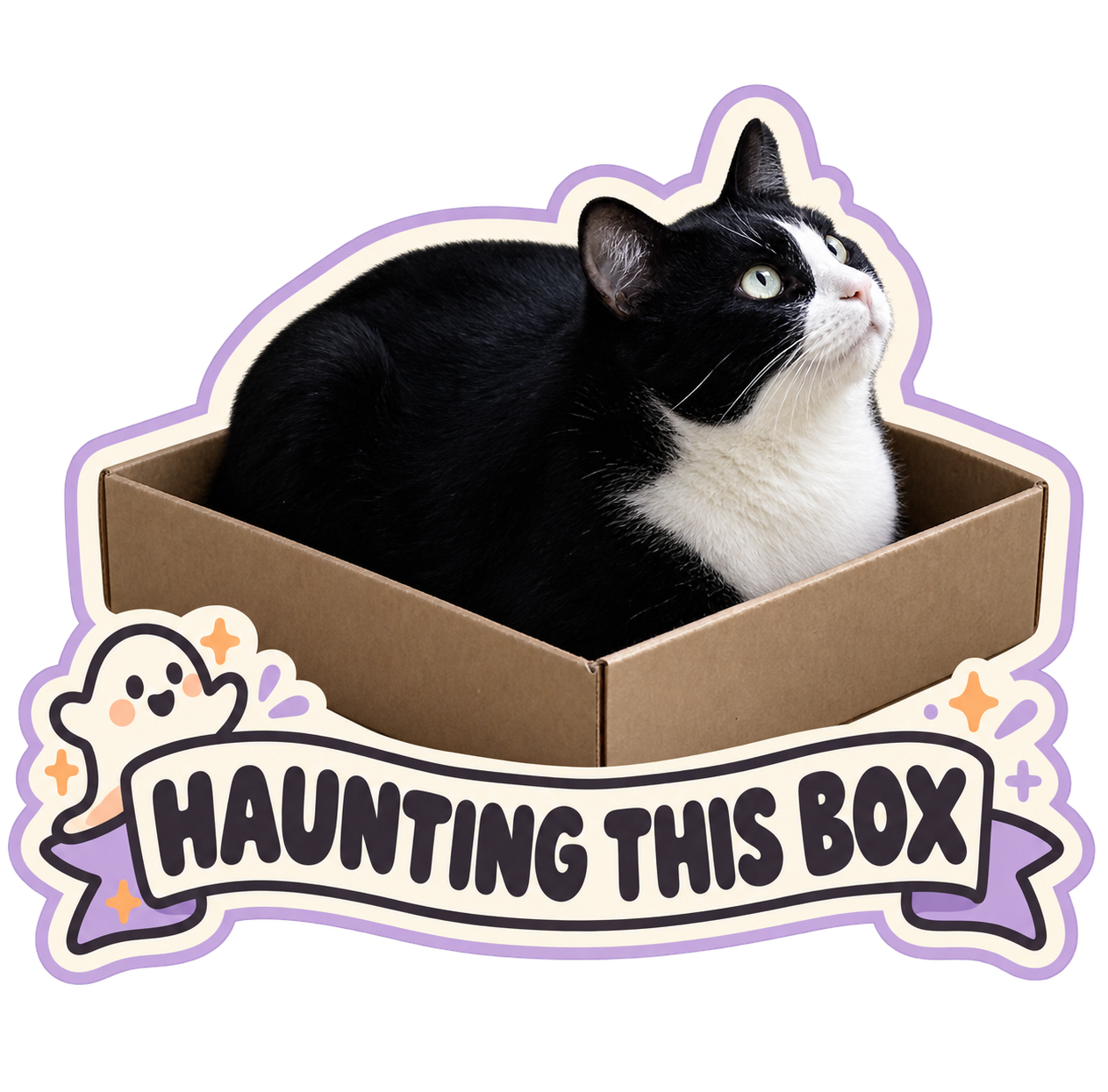 Haunting This Box