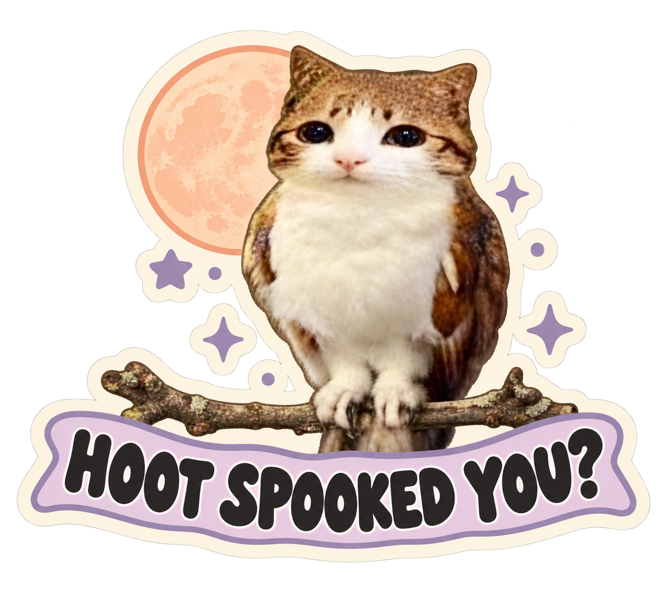 Hoot Spooked You?